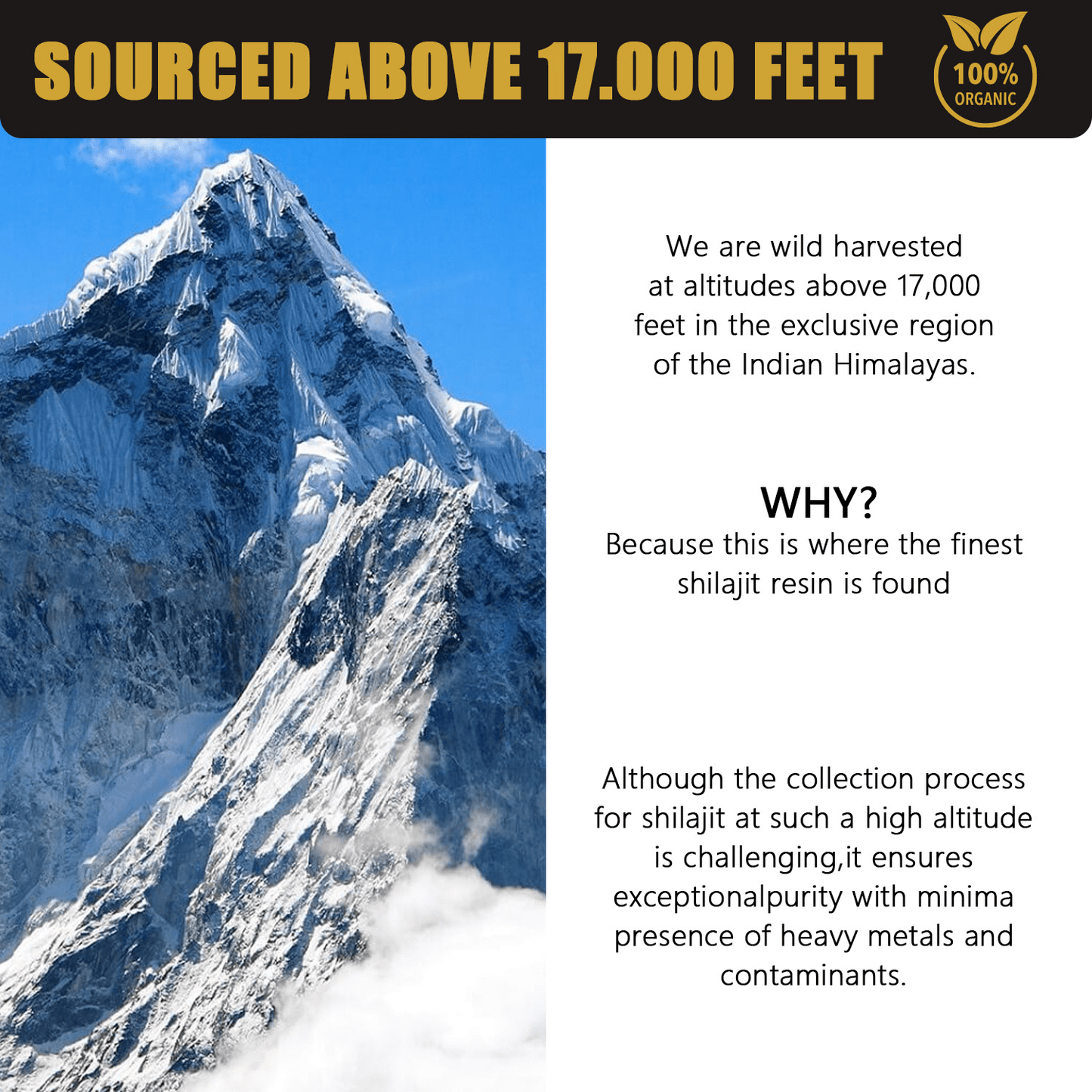 30g Natural Pure Shilajit Resin - H3NRY’S WORLD
