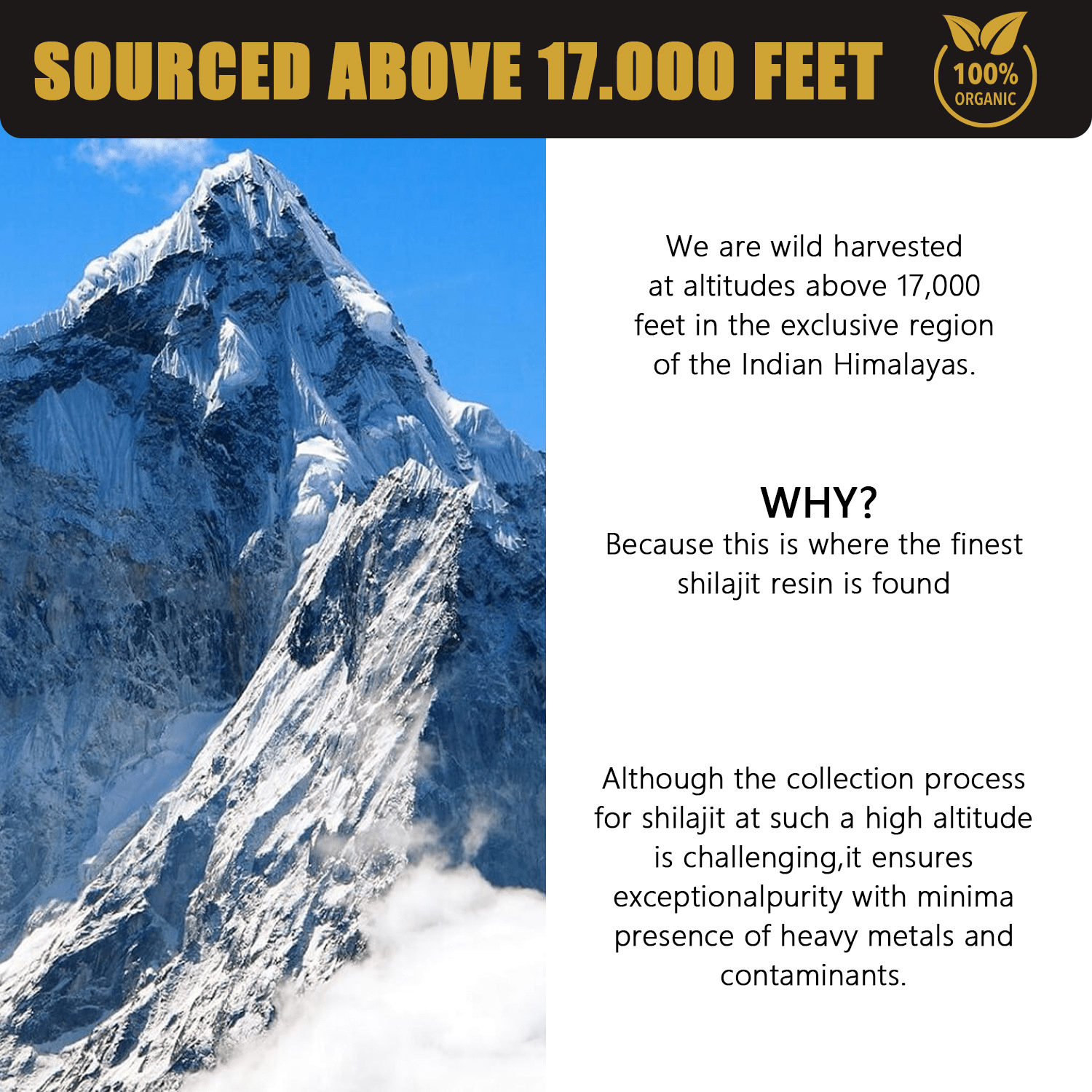 30g Natural Pure Shilajit Resin - H3NRY’S WORLD