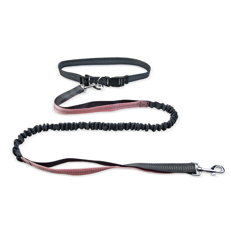 Dog Walking Belt with Detachable Shockproof Leash - H3NRY’S WORLD