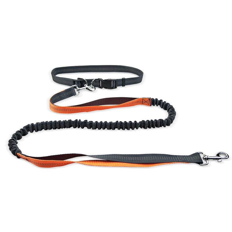 Dog Walking Belt with Detachable Shockproof Leash - H3NRY’S WORLD