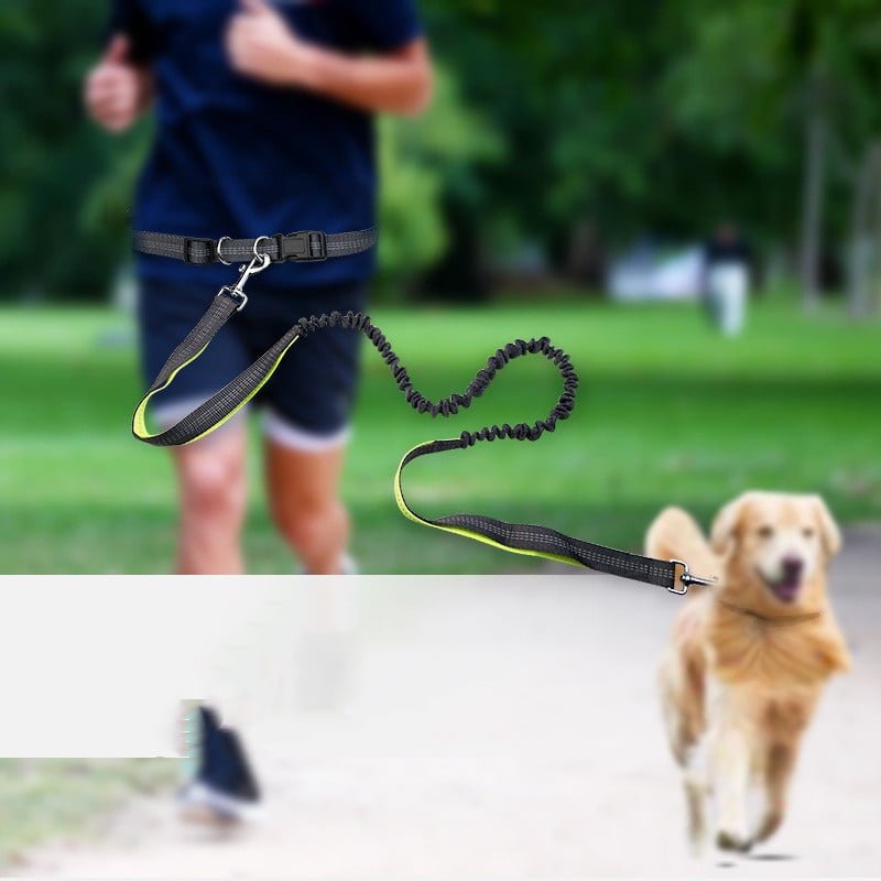 Dog Walking Belt with Detachable Shockproof Leash - H3NRY’S WORLD