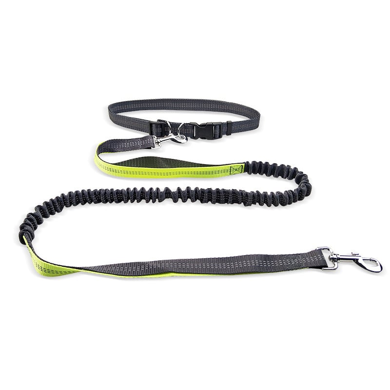 Dog Walking Belt with Detachable Shockproof Leash - H3NRY’S WORLD