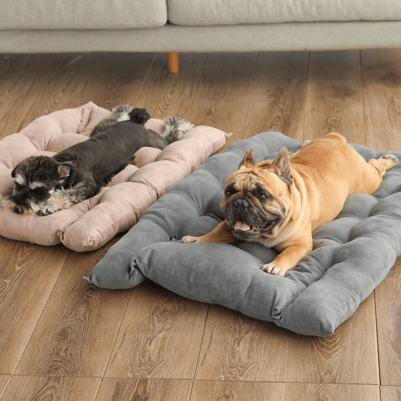 Folding Nest Sofa Bed - H3NRY’S WORLD