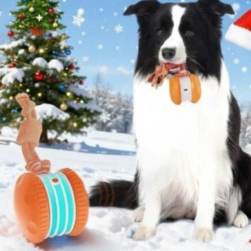 Interactive Pet Rolling Ball Toy USB Rechargeable - H3NRY’S WORLD