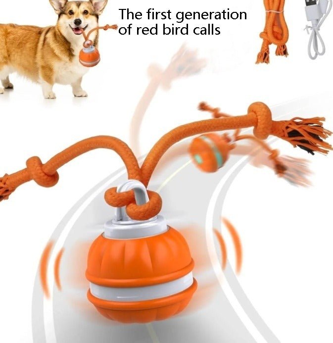 Interactive Pet Rolling Ball Toy USB Rechargeable - H3NRY’S WORLD