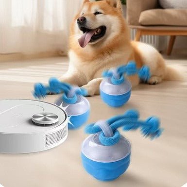 Interactive Pet Rolling Ball Toy USB Rechargeable - H3NRY’S WORLD