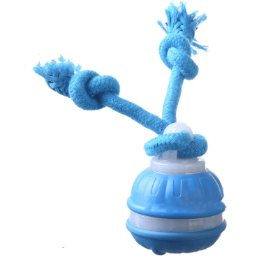 Interactive Pet Rolling Ball Toy USB Rechargeable - H3NRY’S WORLD