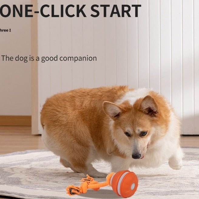 Interactive Pet Rolling Ball Toy USB Rechargeable - H3NRY’S WORLD