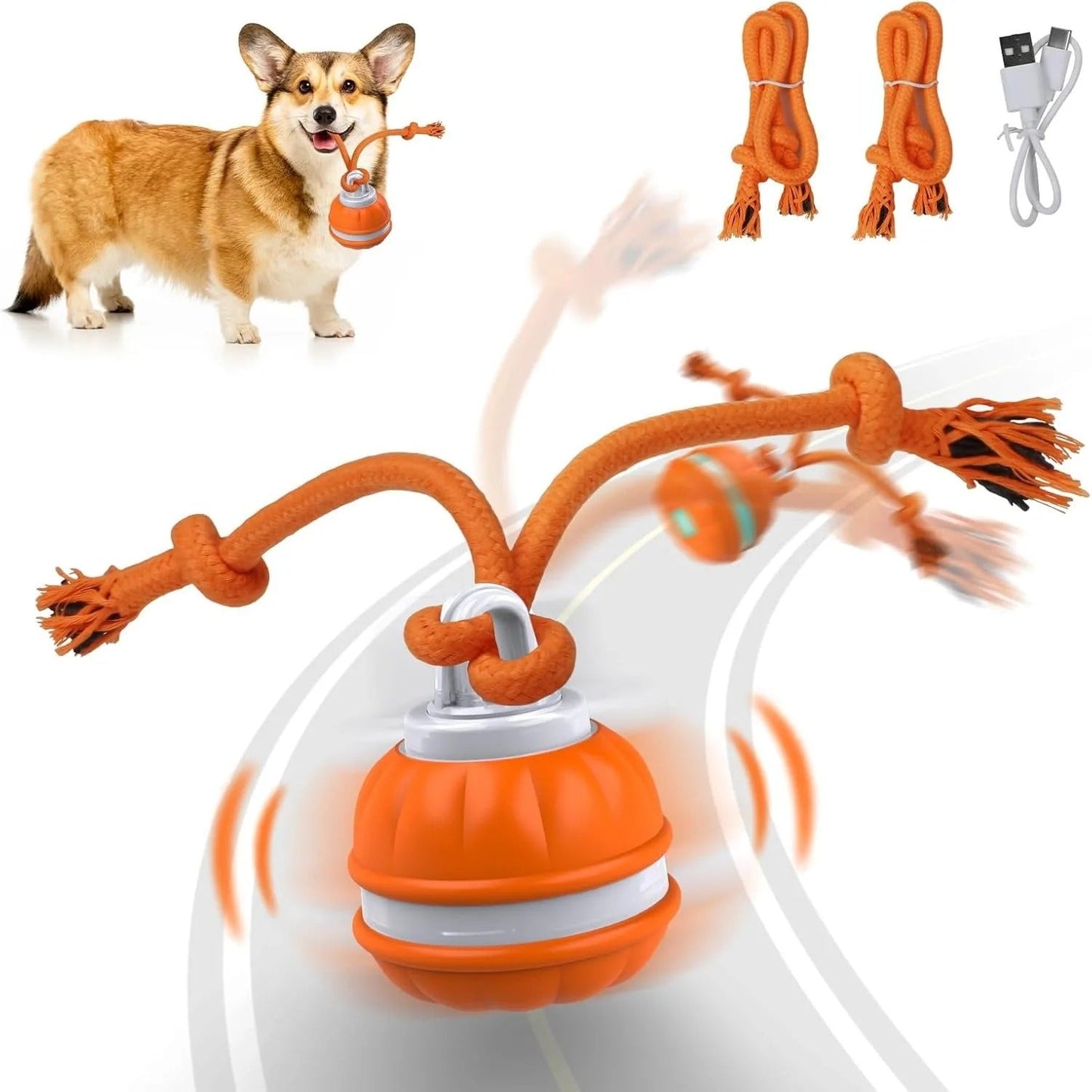 Interactive Pet Rolling Ball Toy USB Rechargeable - H3NRY’S WORLD