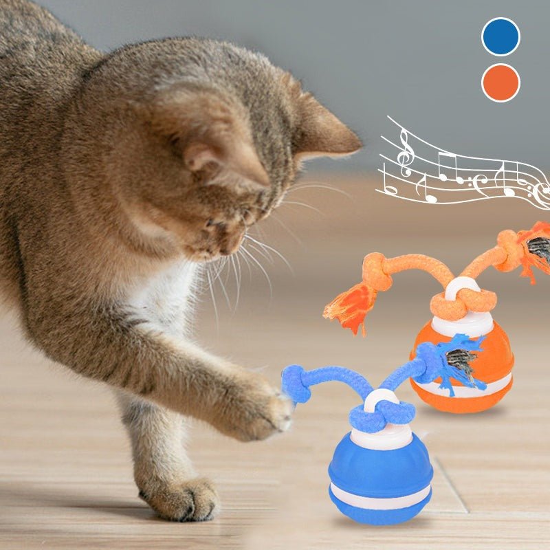 Interactive Pet Rolling Ball Toy USB Rechargeable - H3NRY’S WORLD