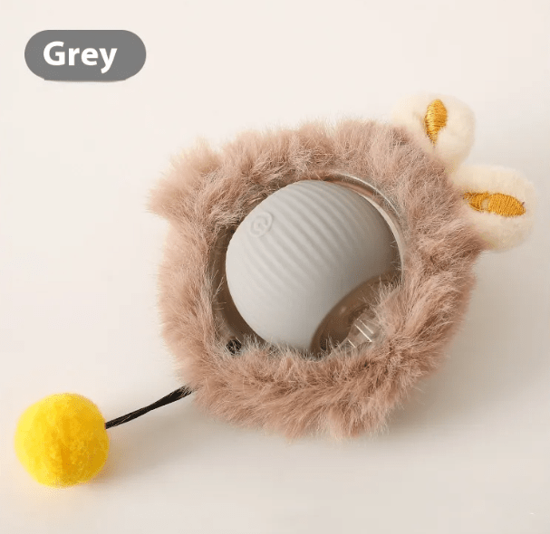 PurrPlay Self - Rolling Cat Toy Ball - H3NRY’S WORLD