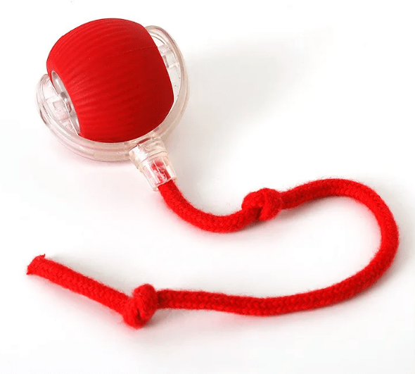 PurrPlay Self - Rolling Cat Toy Ball - H3NRY’S WORLD