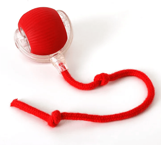 PurrPlay Self - Rolling Cat Toy Ball - H3NRY’S WORLD
