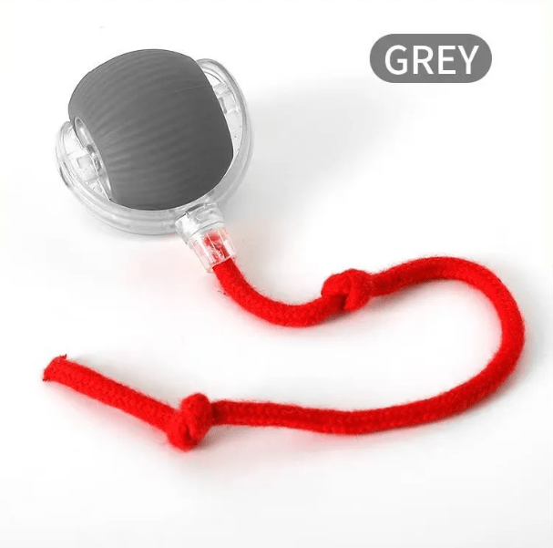 PurrPlay Self - Rolling Cat Toy Ball - H3NRY’S WORLD